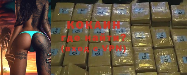 стаф Новодвинск