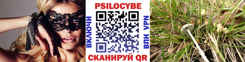 как найти наркотики  Троицк  Псилоцибиновые грибы GOLDEN TEACHER 